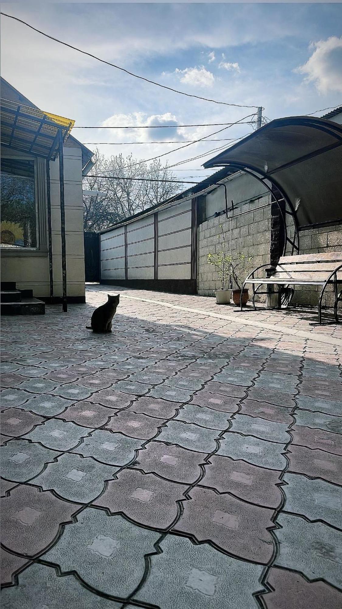 Fam_House Ξενοδοχείο Μπισκέκ Εξωτερικό φωτογραφία